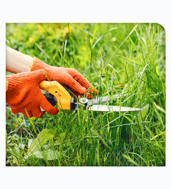 Benefits Of Taking Lawn Care In Cypress