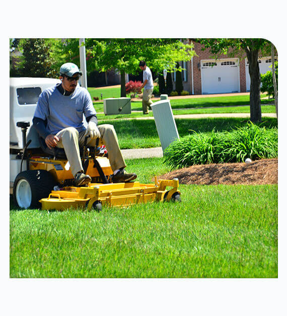 Benefits of Taking Professional Lawn Services In Orange County