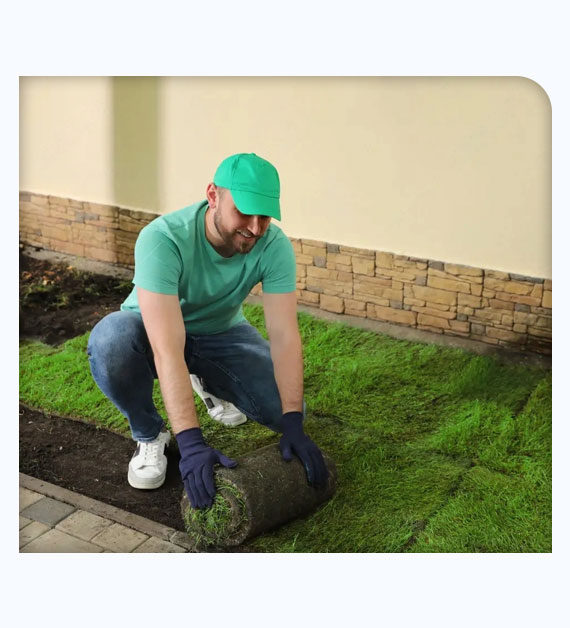 Advantages Of Sod Installation In Orange County