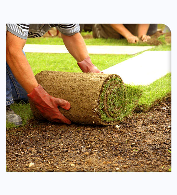 Attractive Advantages Of Lawn Sod Installation