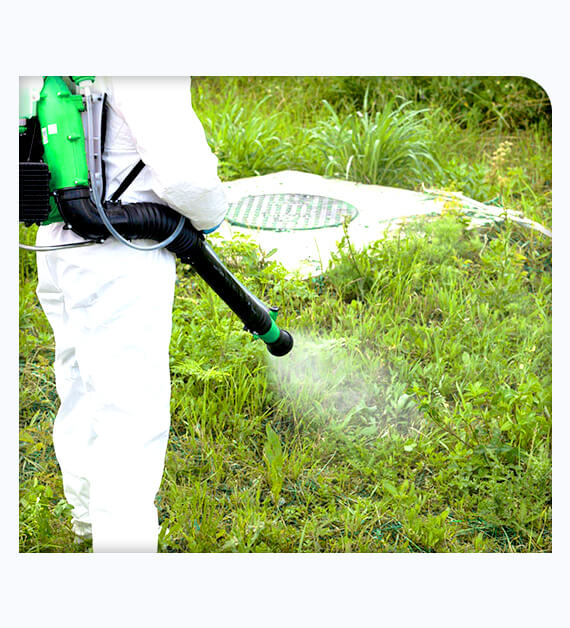 How Does Fungal Treatment Support Lawn Disease Control