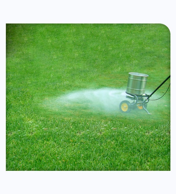 Reasons To Take Lawn Fertilization Services