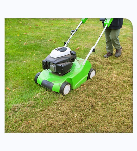 Reasons Why You Must Core Aerate Your Lawn