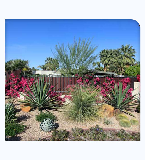 Environmental Benefits Of Xeriscaping