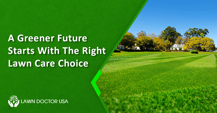 Greener Future Starts With The Right Lawn Care Choice