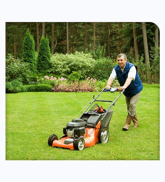 How Does Lawn Service In Temecula Improve Lawn Condition