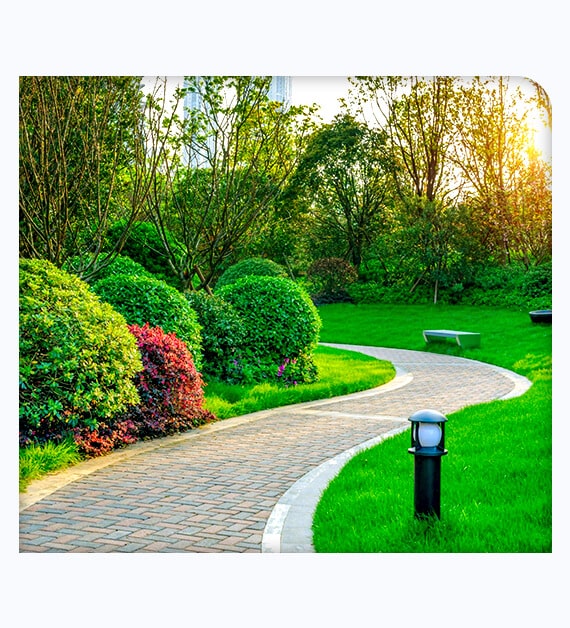 How Effective Lawn Management Benefits You