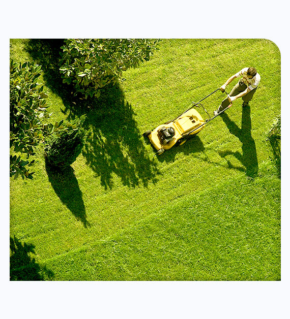How Lawn Care El Cajon CA Helps Your Lawn