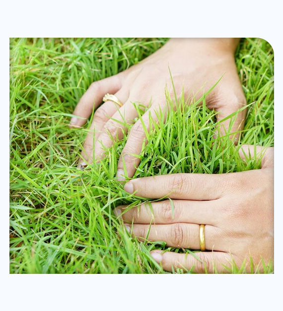 How Lawn Care Overseeding Keeps The Lawn Healthy