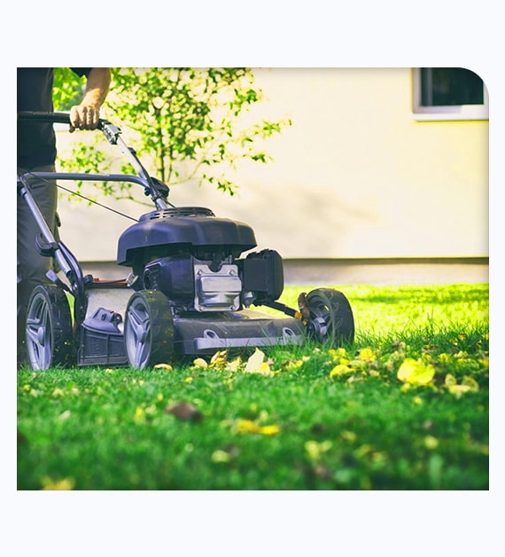 How Lawn Care Specialists Help Property Owners