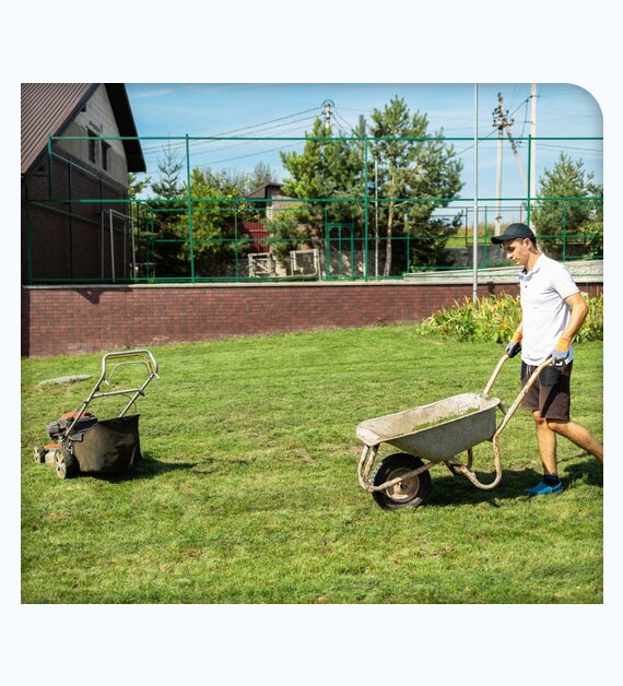 Pragmatic Advantages Of Regular Lawn Care In Torrance