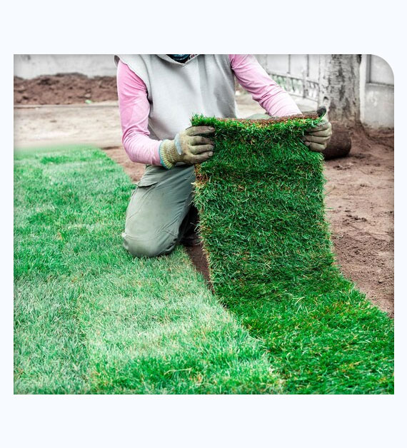 Prime Advantages Of Artificial Turf Installation In San Diego