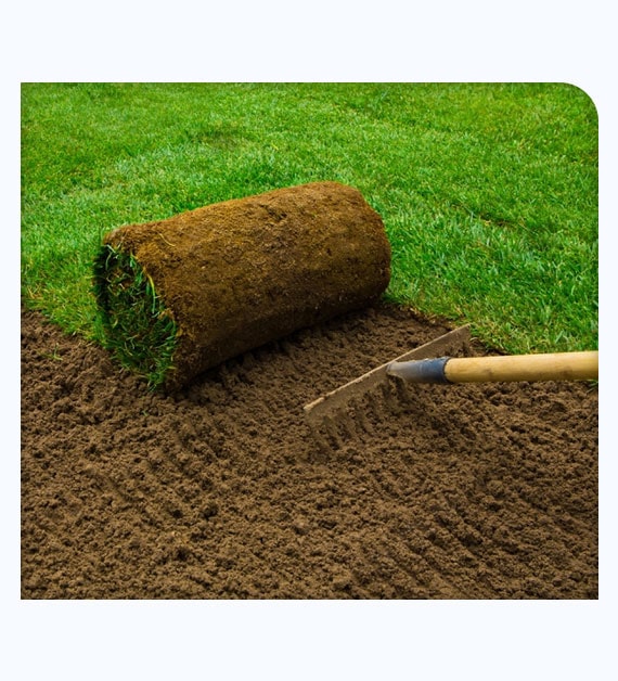 Reasons To Approach Professional Lawn Installers