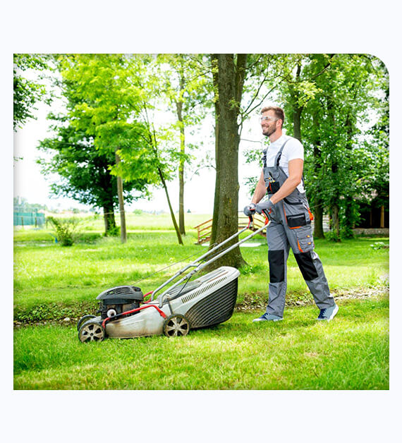 Reasons To Get Professional Lawn Service In Spring Valley