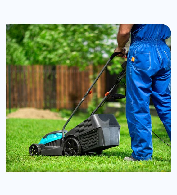 Reasons To Hire Expert Lawn Care Company