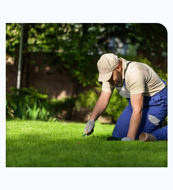 Reasons To Hire Poway Lawn Care Experts