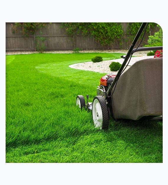 Significance Of Vista Turf Lawn Care