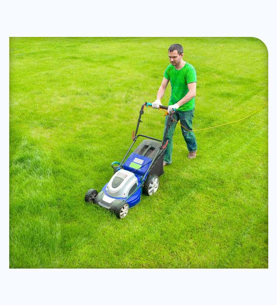 Value Of Professional Lawn Service In Moreno Valley