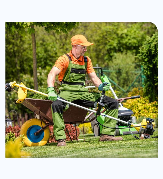 Why Hire Professionals For Lawn Maintenance In Rancho Cucamonga