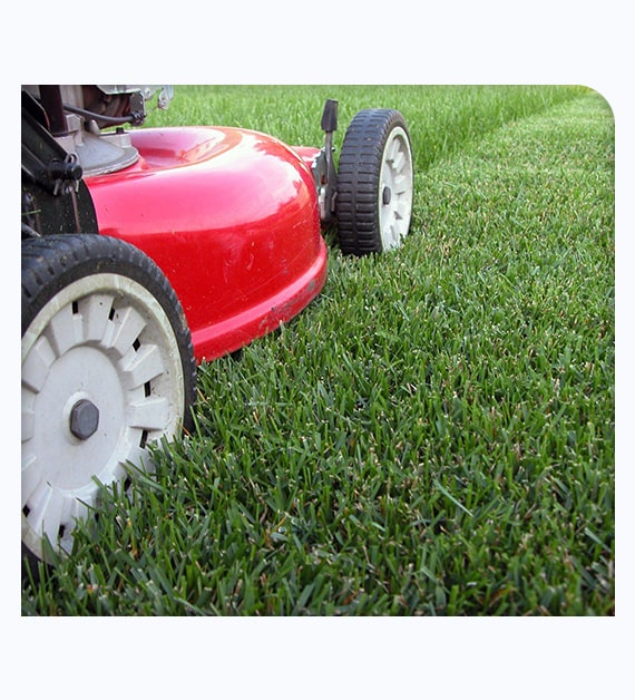 Why Take Help From Lawn Care & Maintenance Companies