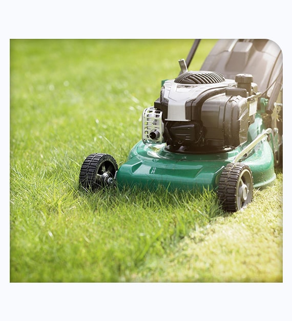 Benefits Of Availing Lawn Management Services