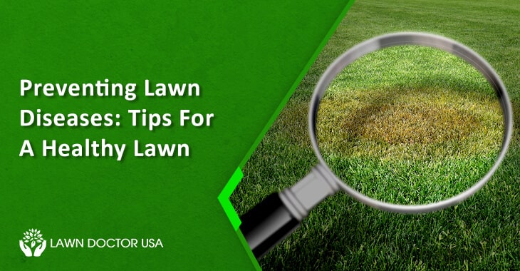 Preventing Lawn Diseases