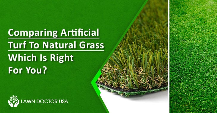 Comparing Artificial Turf To Natural Grass