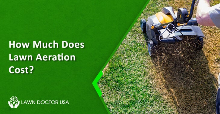 How Much Does Lawn Aeration Cost