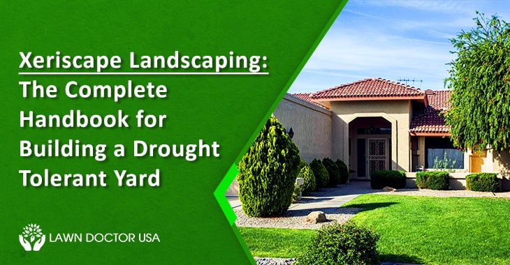 Xeriscape Landscaping: The Complete Handbook for Building a Drought