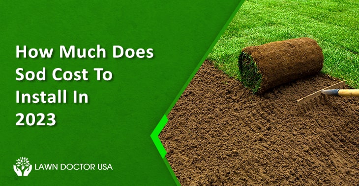 How Much Does Sod Cost To Install
