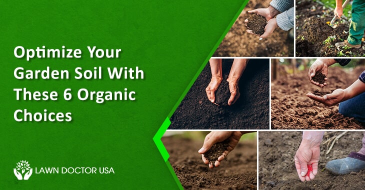 Optimize Your Garden Soil with These 6 Organic Choices